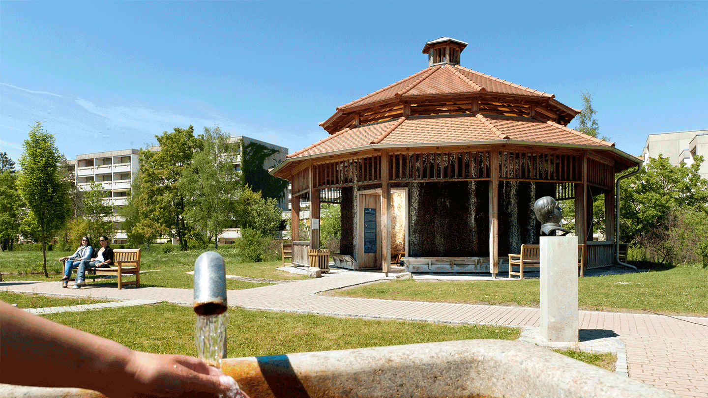 Irrgarten im Kurpark – Bild 3