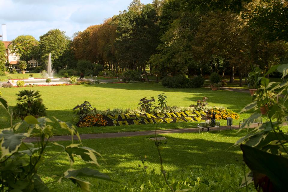 Irrgarten im Kurpark – Bild 4