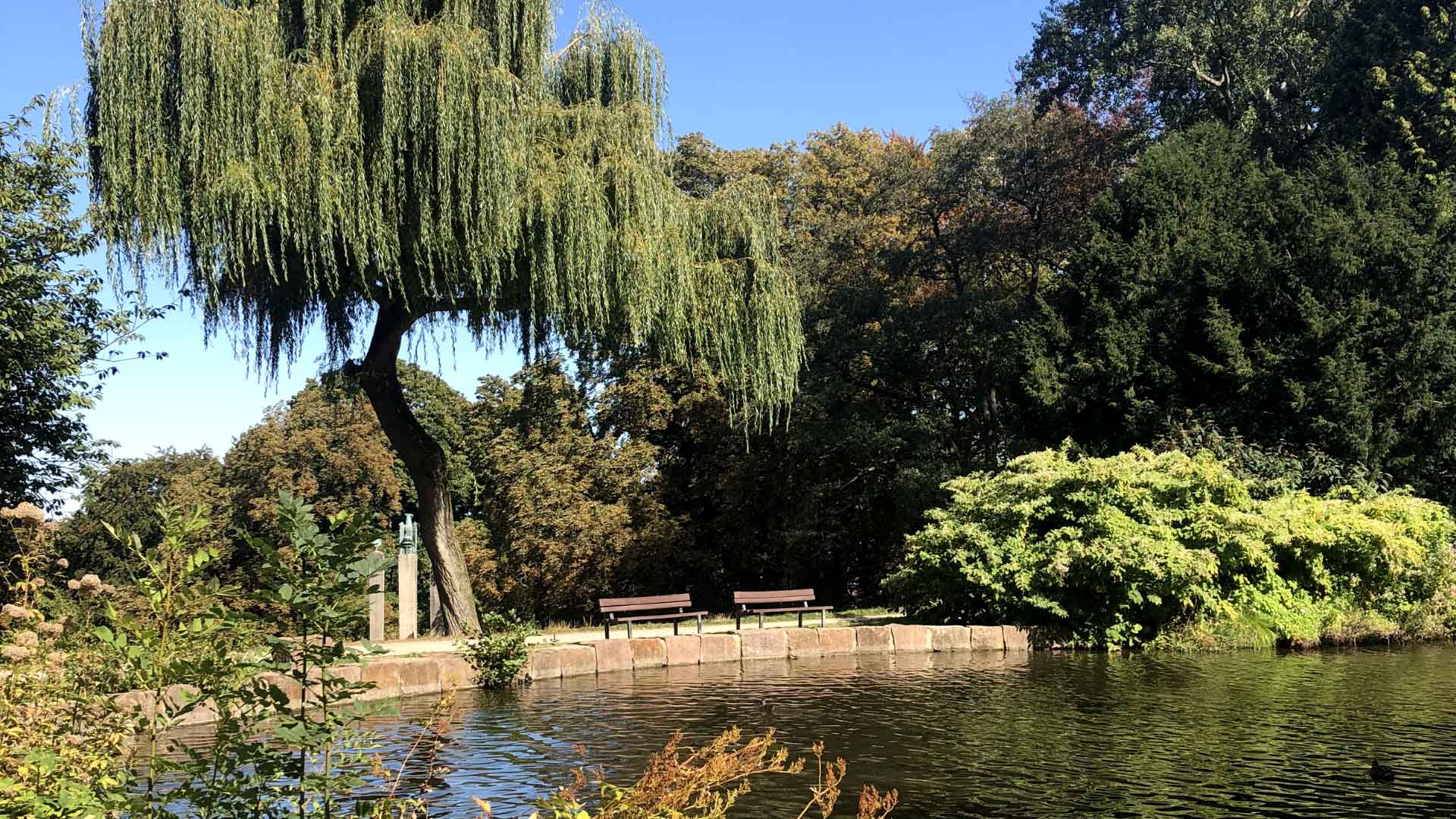 Stadtgarten – Bild 3