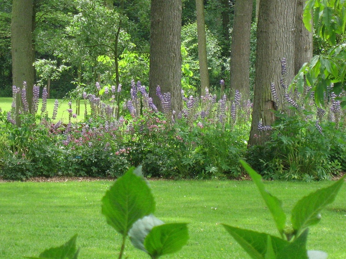 Arboretum Grenzenlust – Bild 2