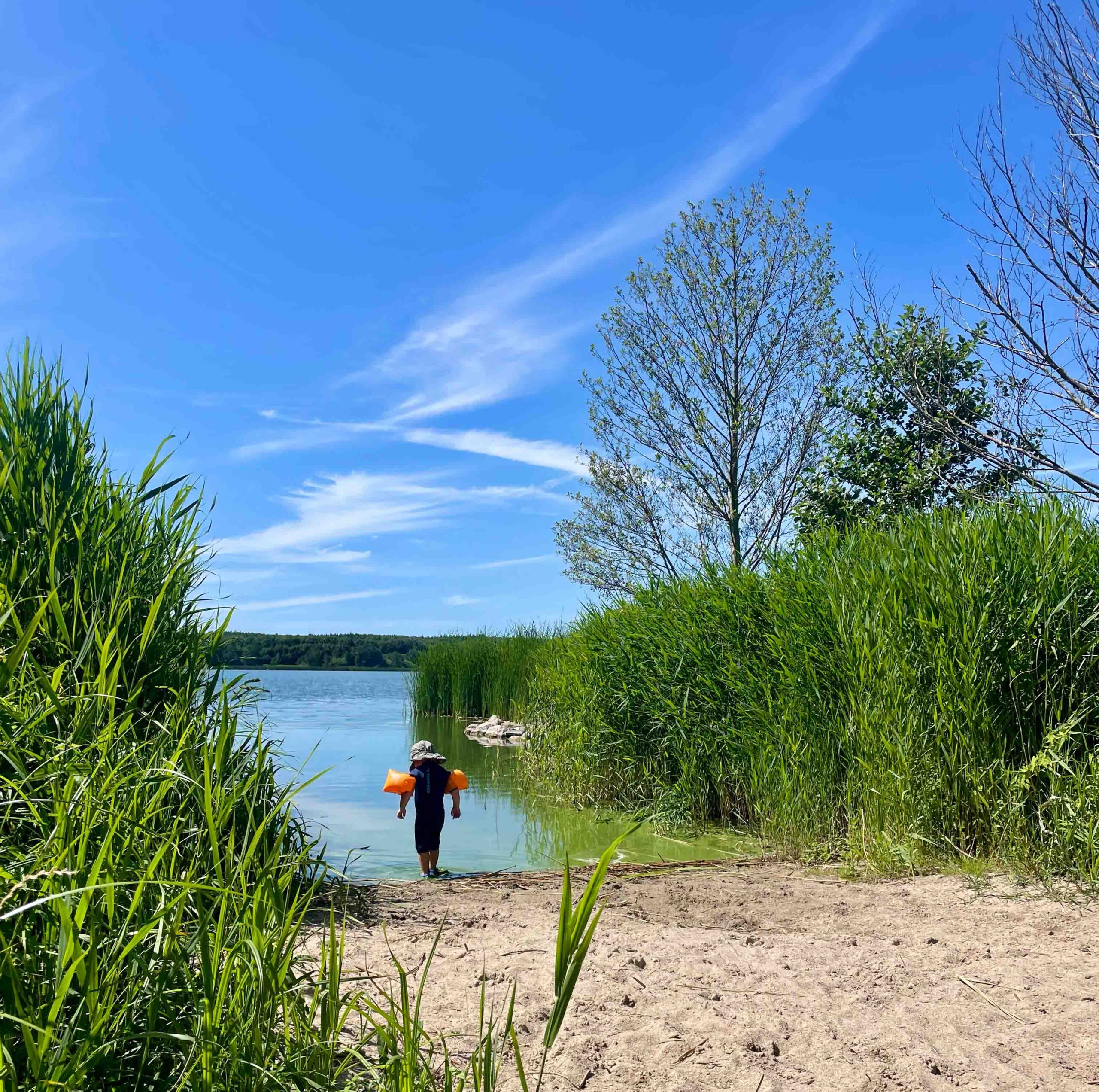 Ferienhof Karin Schwarz – Bild 6