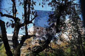 Terrain d'Aventure Petit- Lancy – Bild 3