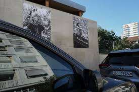 Terrain d'Aventure Petit- Lancy – Bild 4