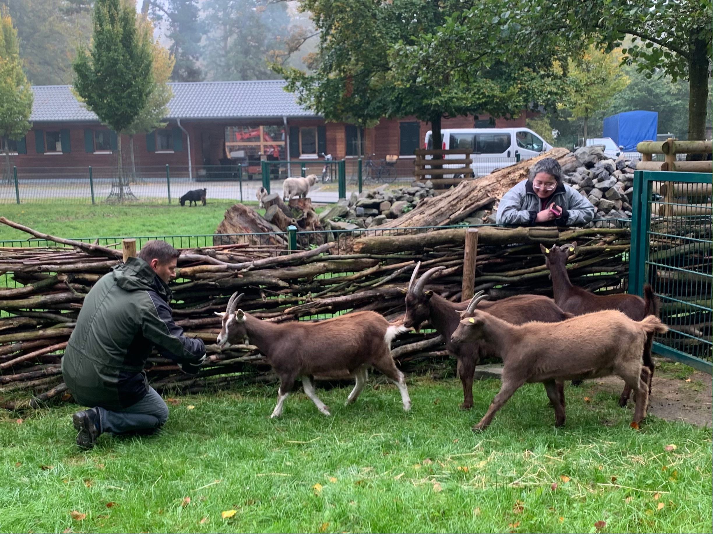 Lindenthaler Tierpark – Bild 3