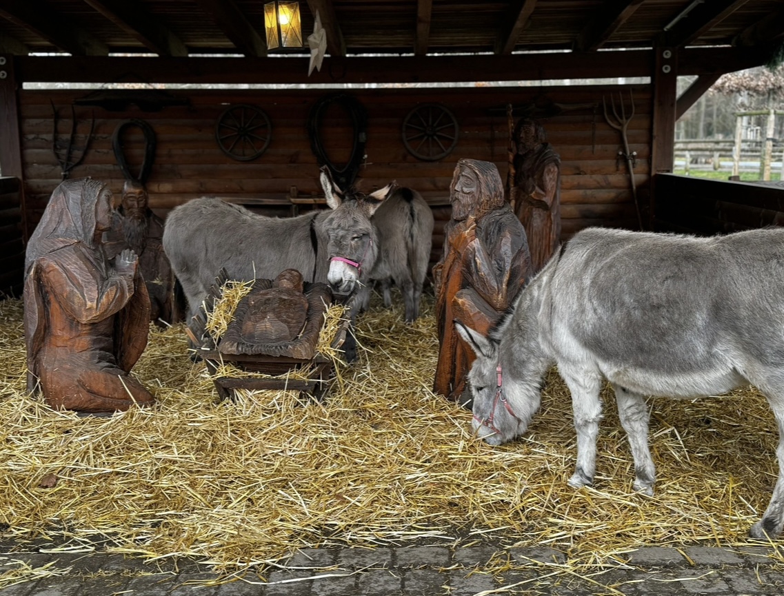 Lindenthaler Tierpark – Bild 6