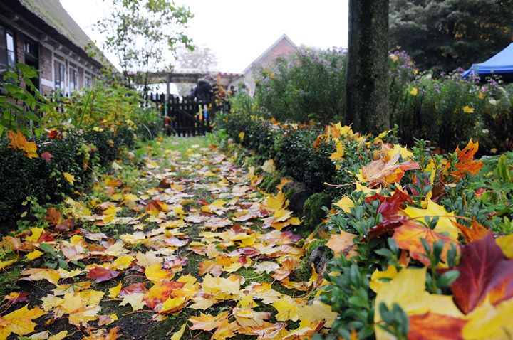 Museumsbauernhof in Wennerstorf – Bild 4