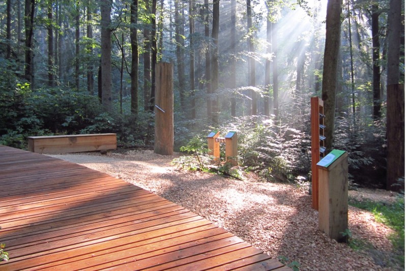 NATURATUM ErlebnisWaldpfad – Bild 5