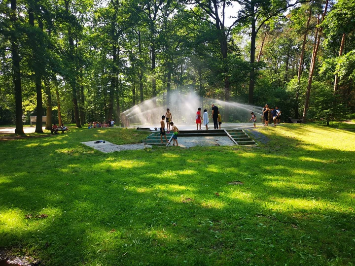 Waldpark Obertshausen – Bild 1