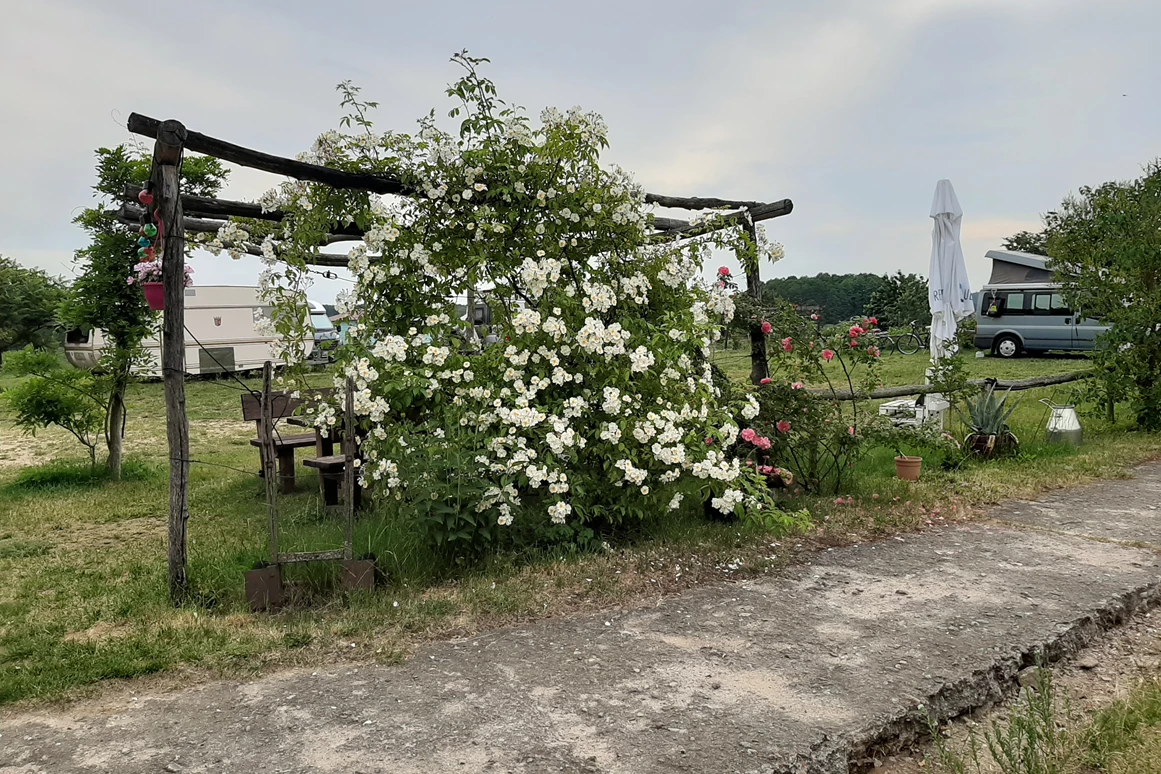 Ökohof Engler – Bild 3