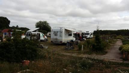 Ökohof Engler – Bild 6