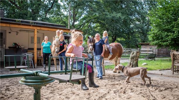 Jugend- und Kinderfarm e.V. – Bild 2