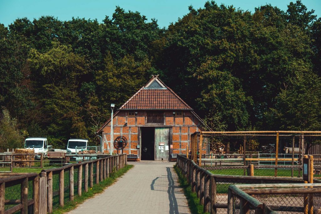 Jugend- und Kinderfarm e.V. – Bild 6