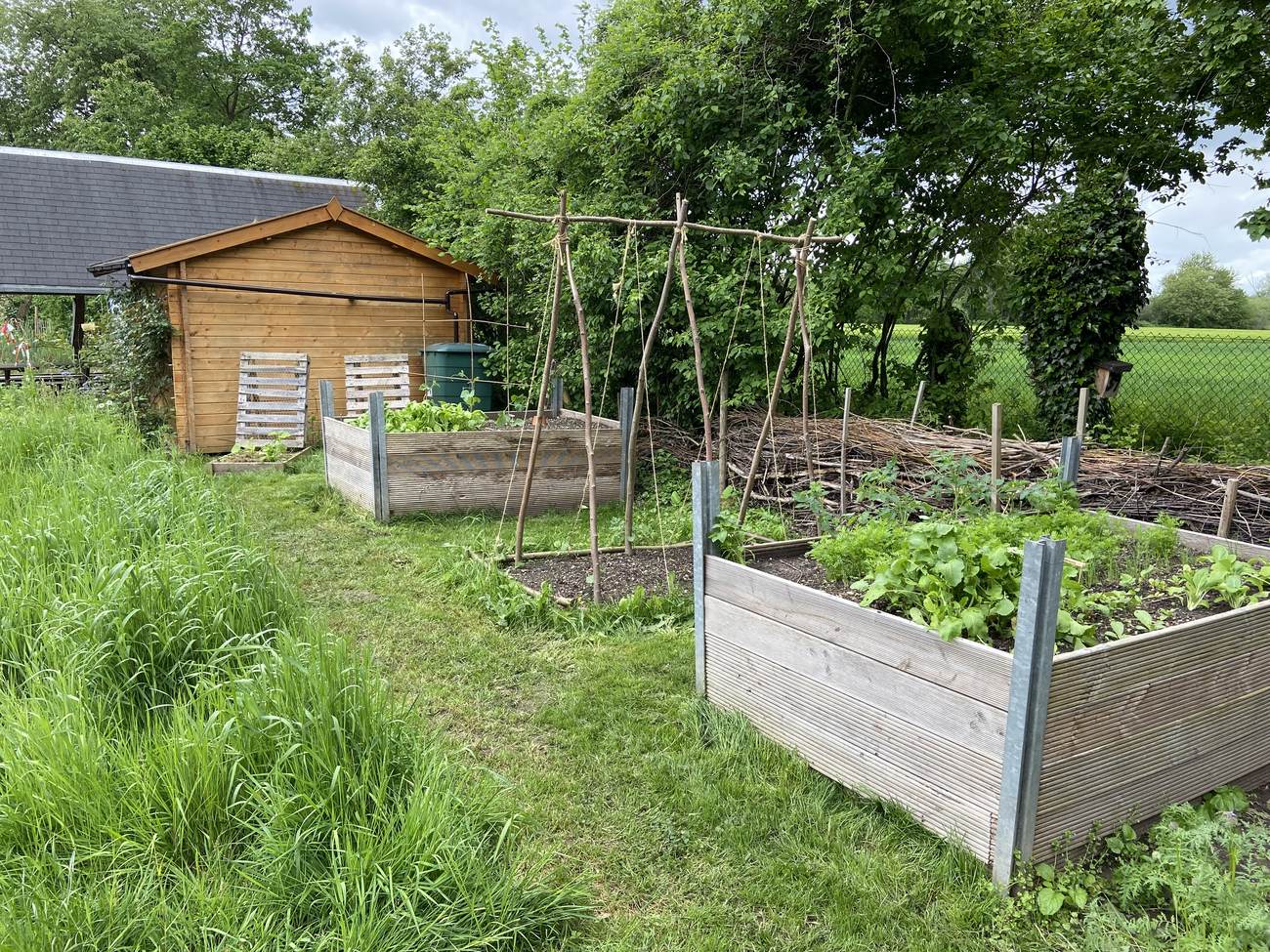 Ökostation der Stadt Rastatt – Bild 4