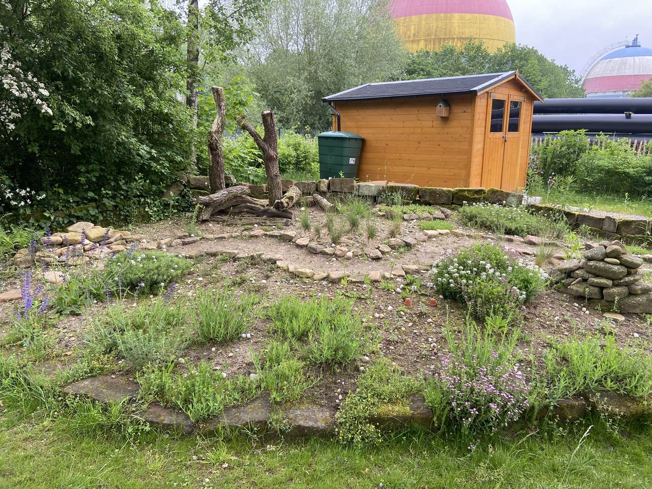 Ökostation der Stadt Rastatt – Bild 5