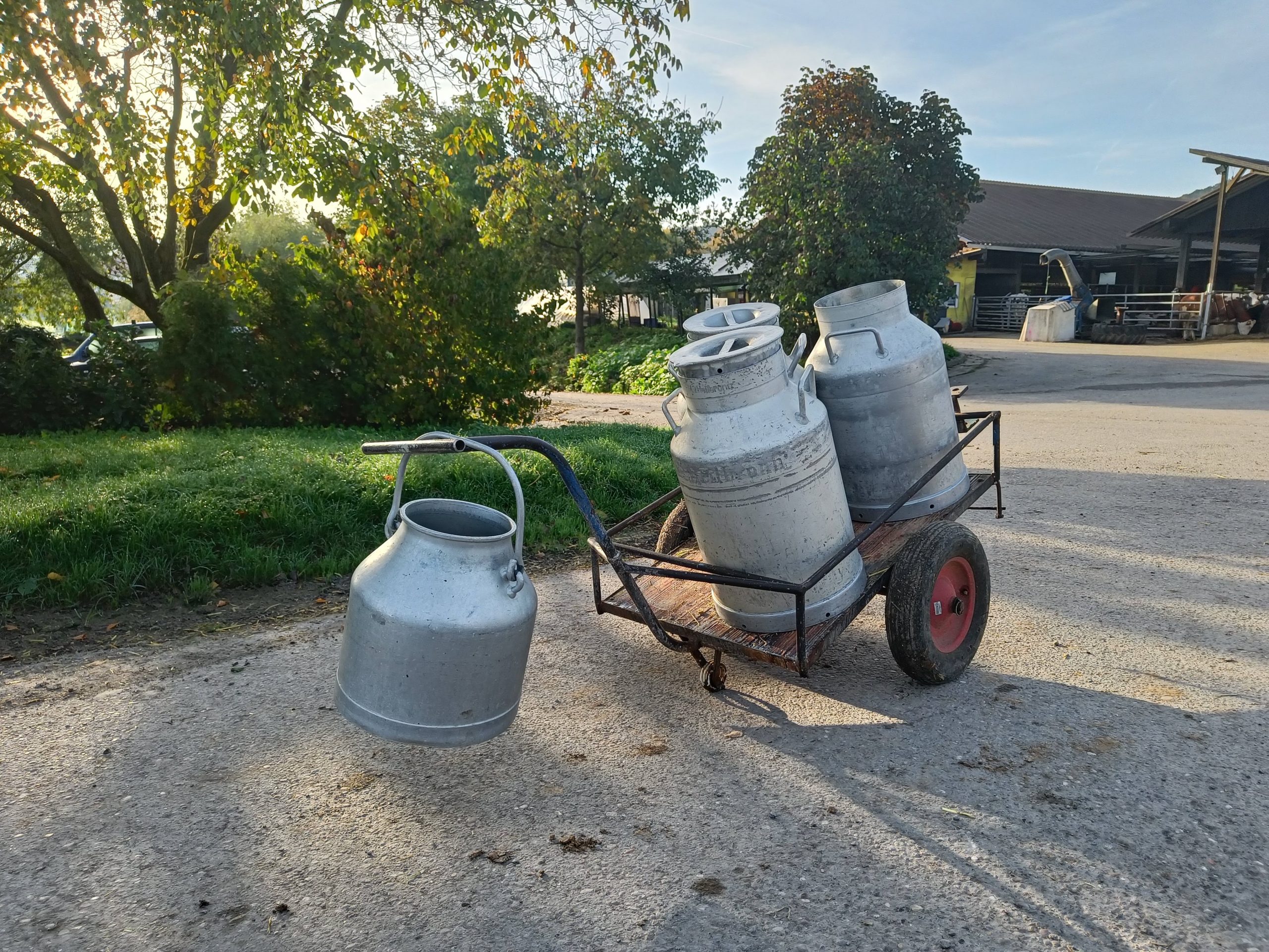 Bauernhof Riedel - Frische Milch, Eier, Wurst – Bild 4