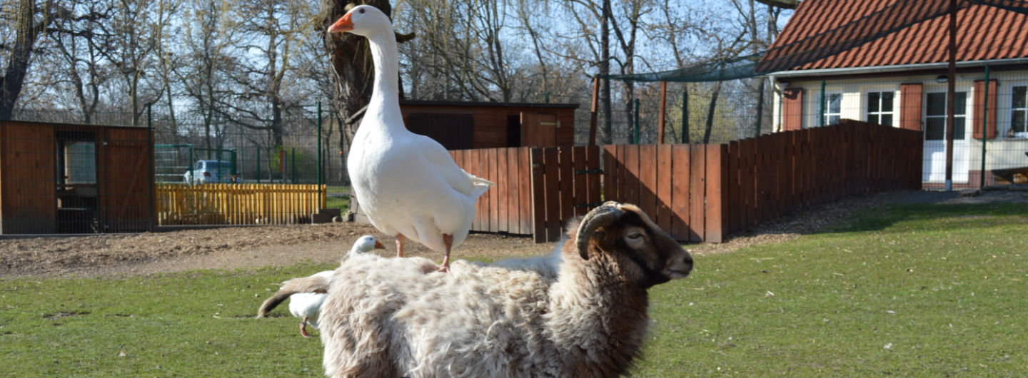 PePe-activ e.V. – Bild 2