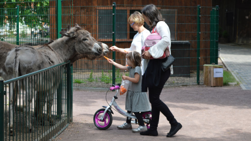 PePe-activ e.V. – Bild 5