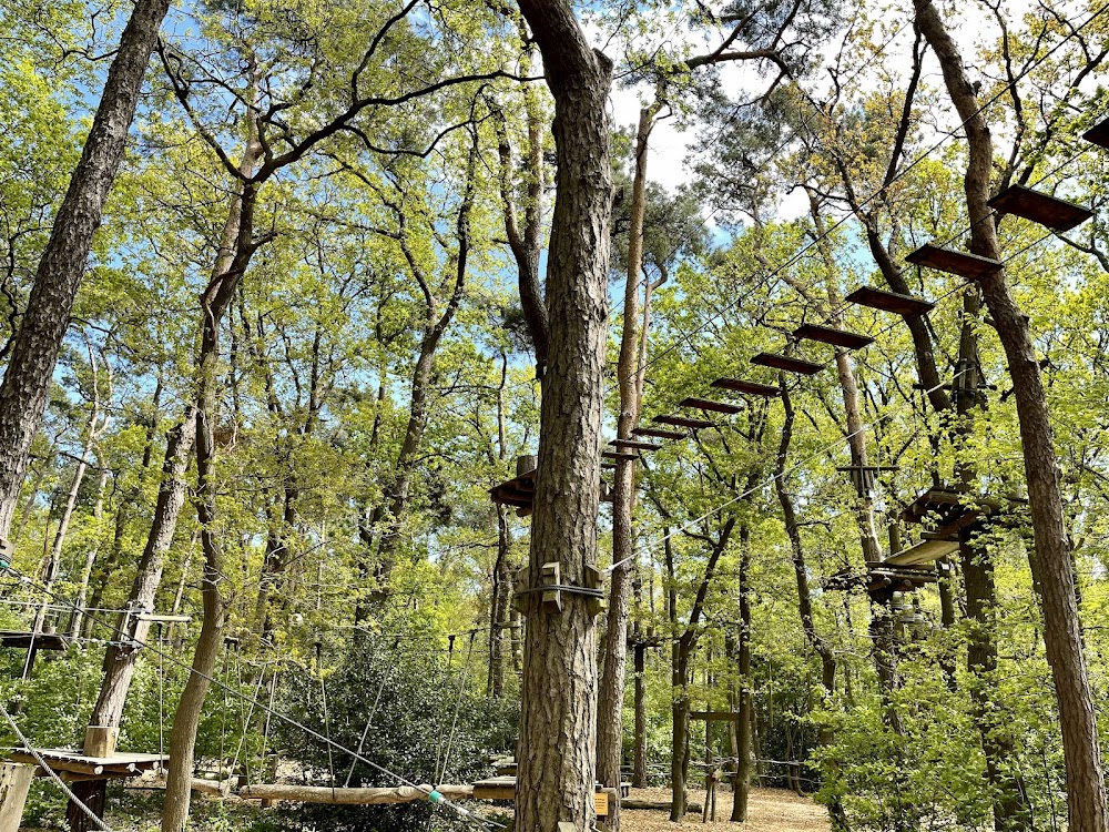 Kletterwald Darß – Bild 1