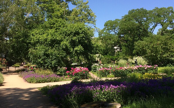 Freundschaftsinsel – Bild 6