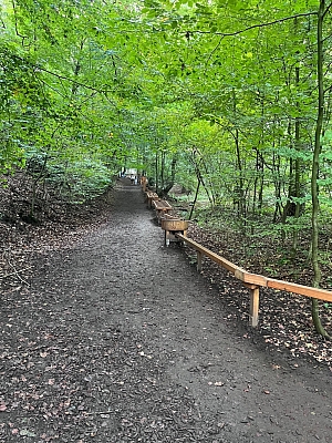 Waldkugelbahn – Bild 2