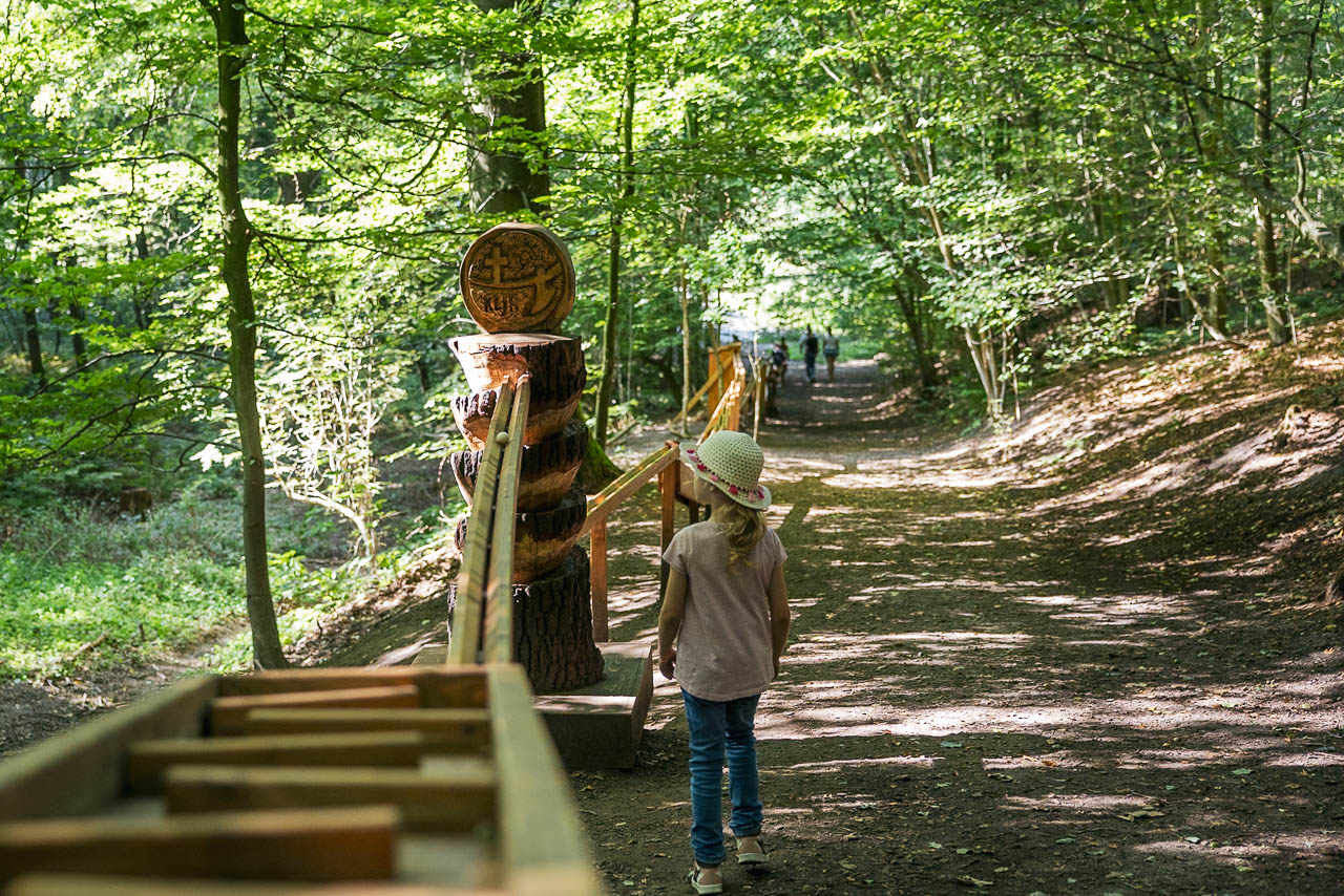 Waldkugelbahn – Bild 3