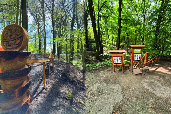 Waldkugelbahn – Bild 4