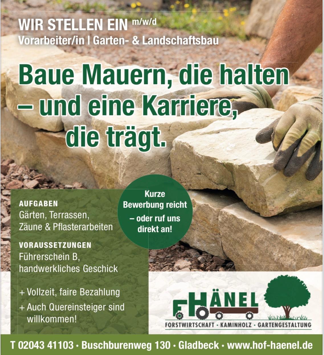 Landwirtschaftsbetrieb Hänel Mirko – Bild 3