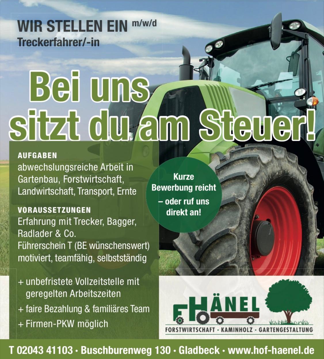 Landwirtschaftsbetrieb Hänel Mirko – Bild 4