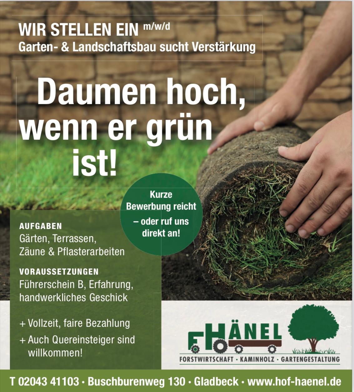 Landwirtschaftsbetrieb Hänel Mirko – Bild 5