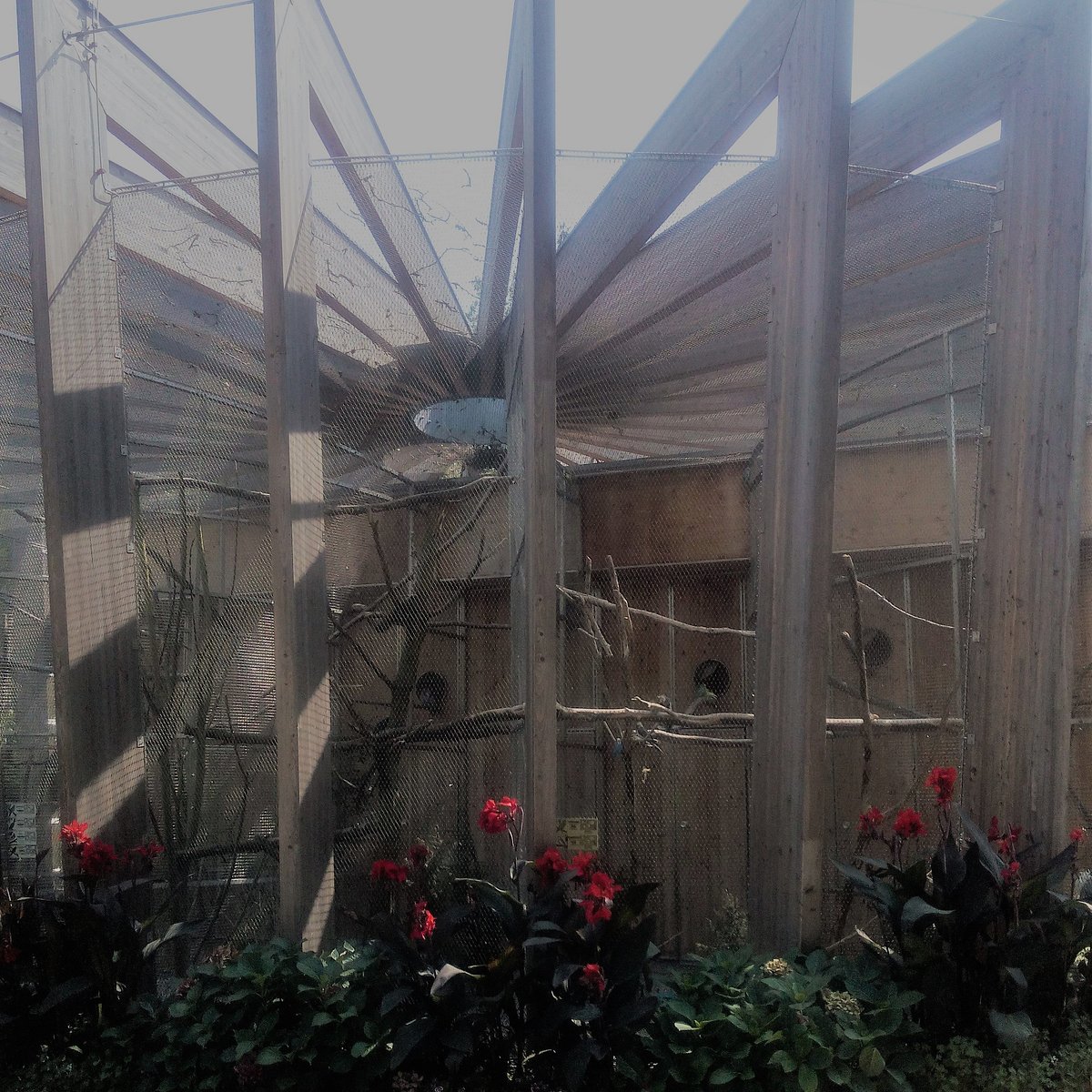 Tiergehege Öhringen – Bild 4