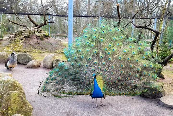 Tierpark Perleberg – Bild 5