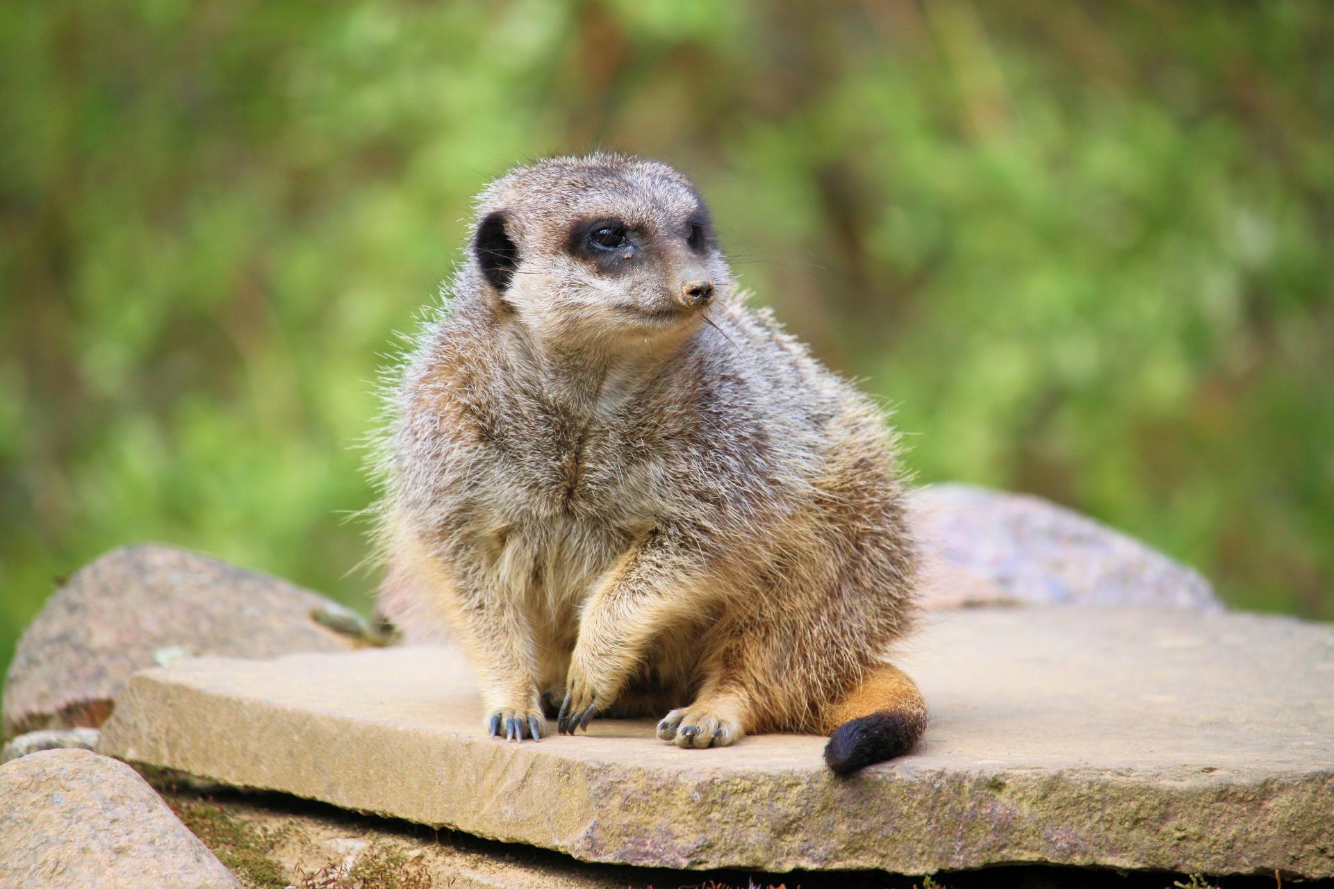 Tierpark Perleberg – Bild 6