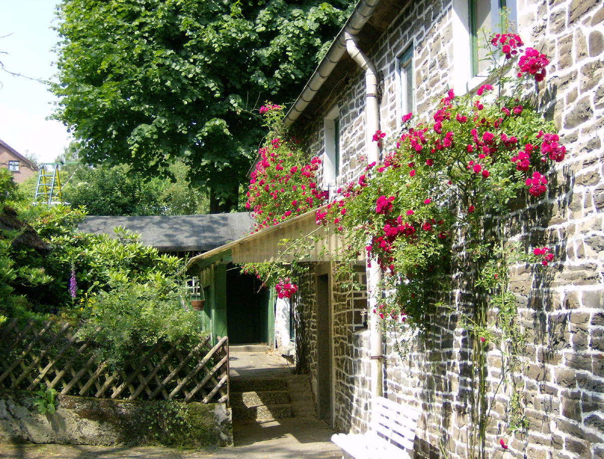 Ferienhof Repke mit Bauerncafe – Bild 6