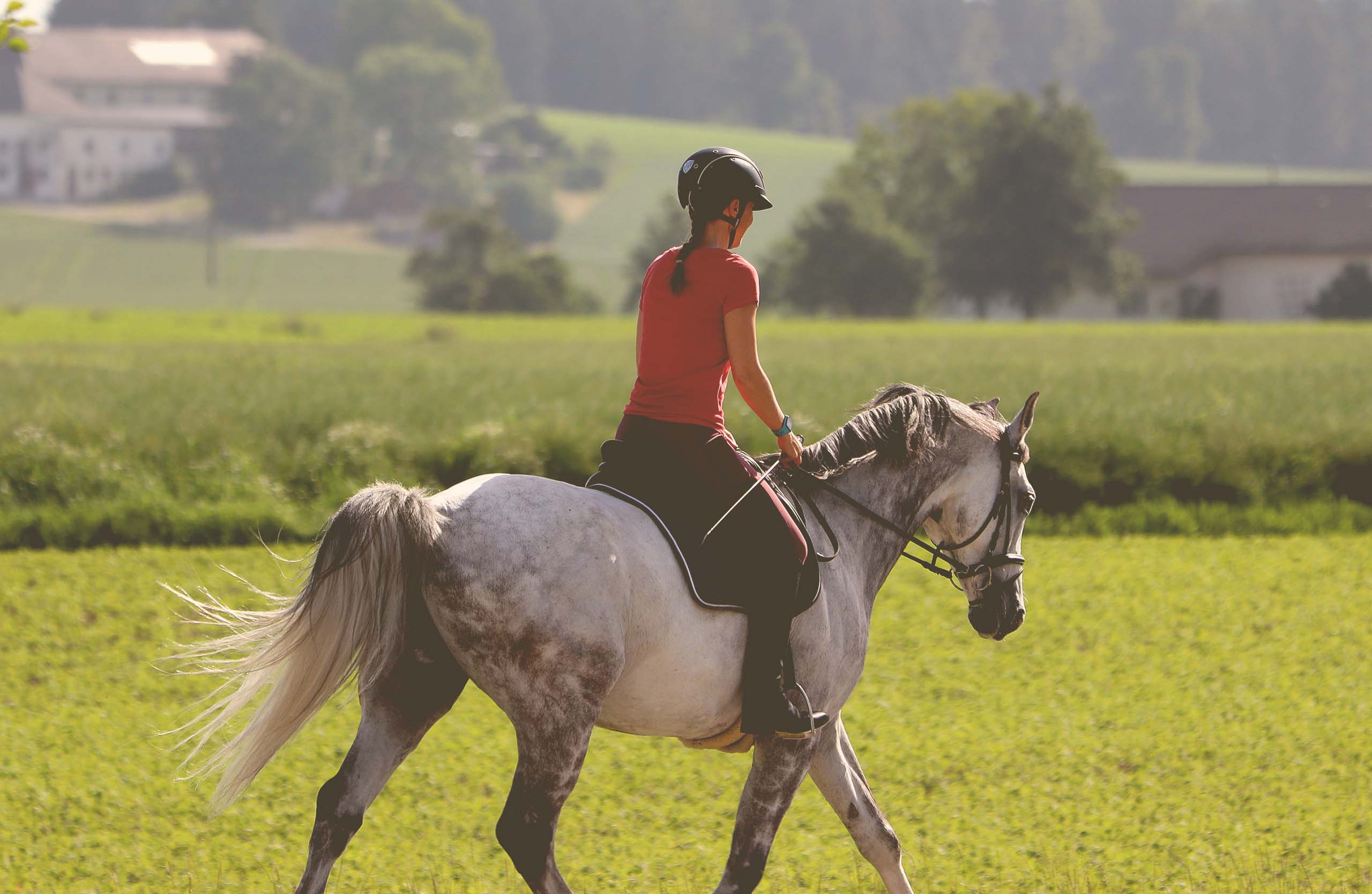 Hof Neversfelde – Bild 2