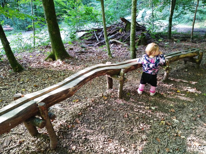 Natur-Erlebnis-Pfad Künzelsau – Bild 1