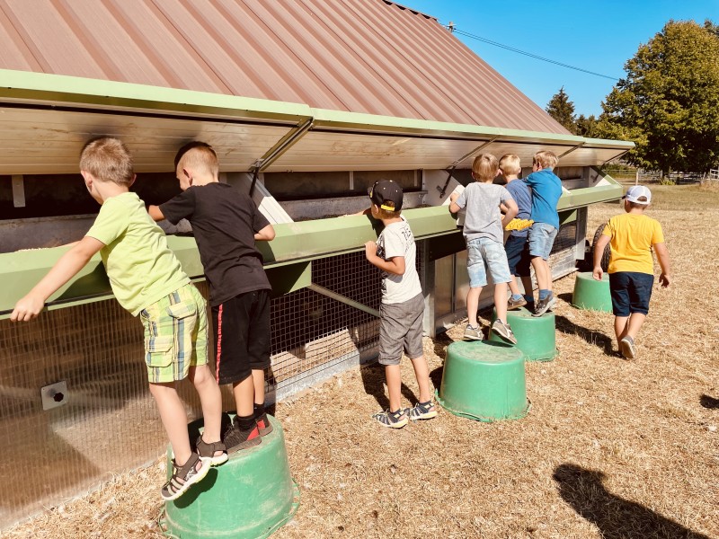 Hof Seiltgens – Bild 2