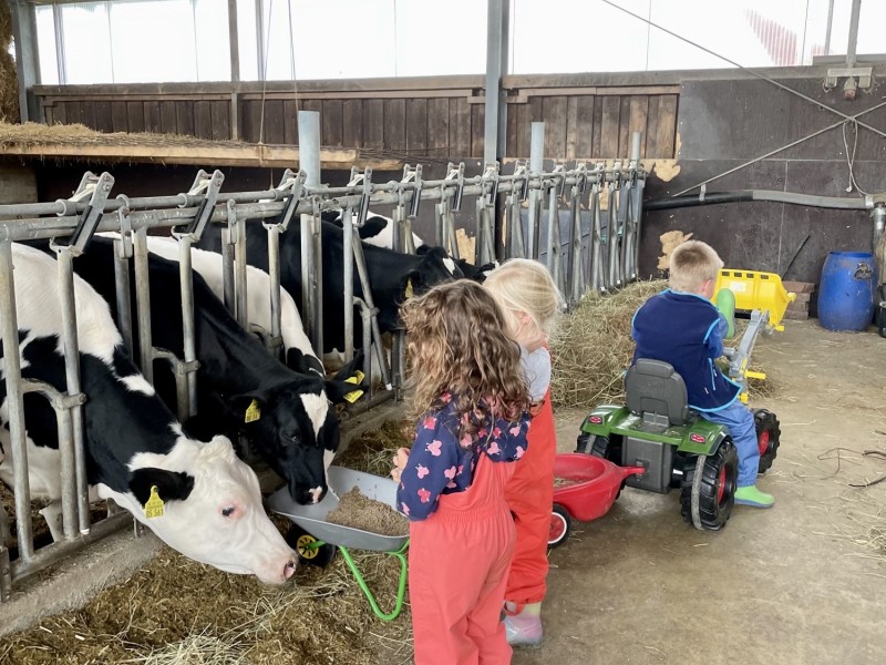 Hof Seiltgens – Bild 3