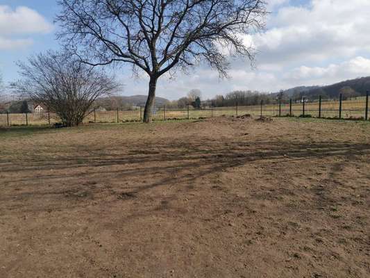 Hundewiese Im Grönegau Riemsloh – Bild 2