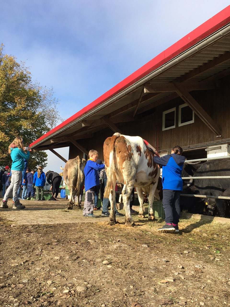 Bolderhof - Bio- und Erlebnisbauernhof – Bild 6