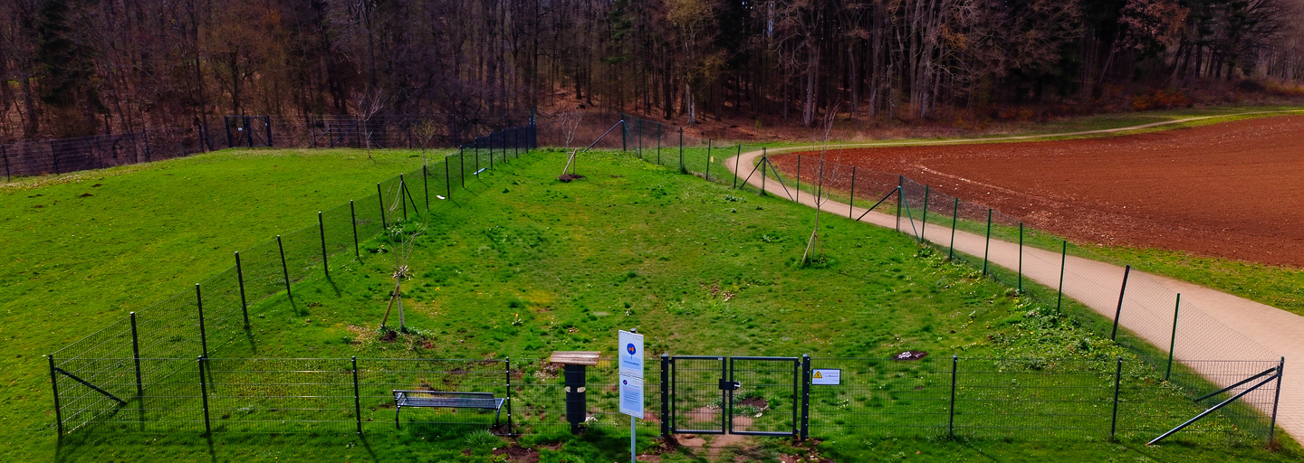 Wildgehege auf dem Mühlberg – Bild 5