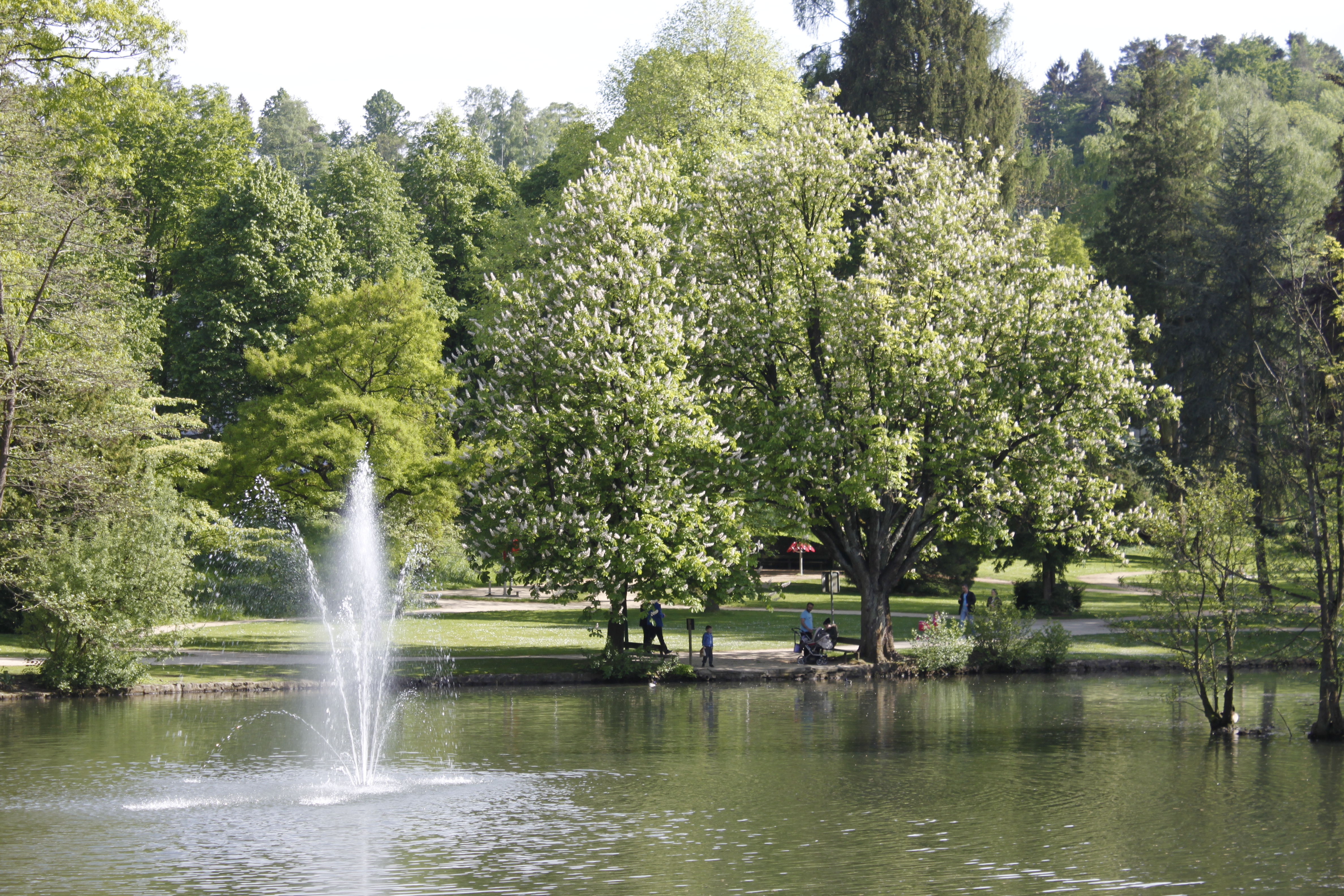 KASINOPARK – Bild 2