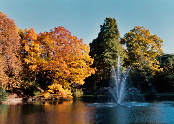 KASINOPARK – Bild 4