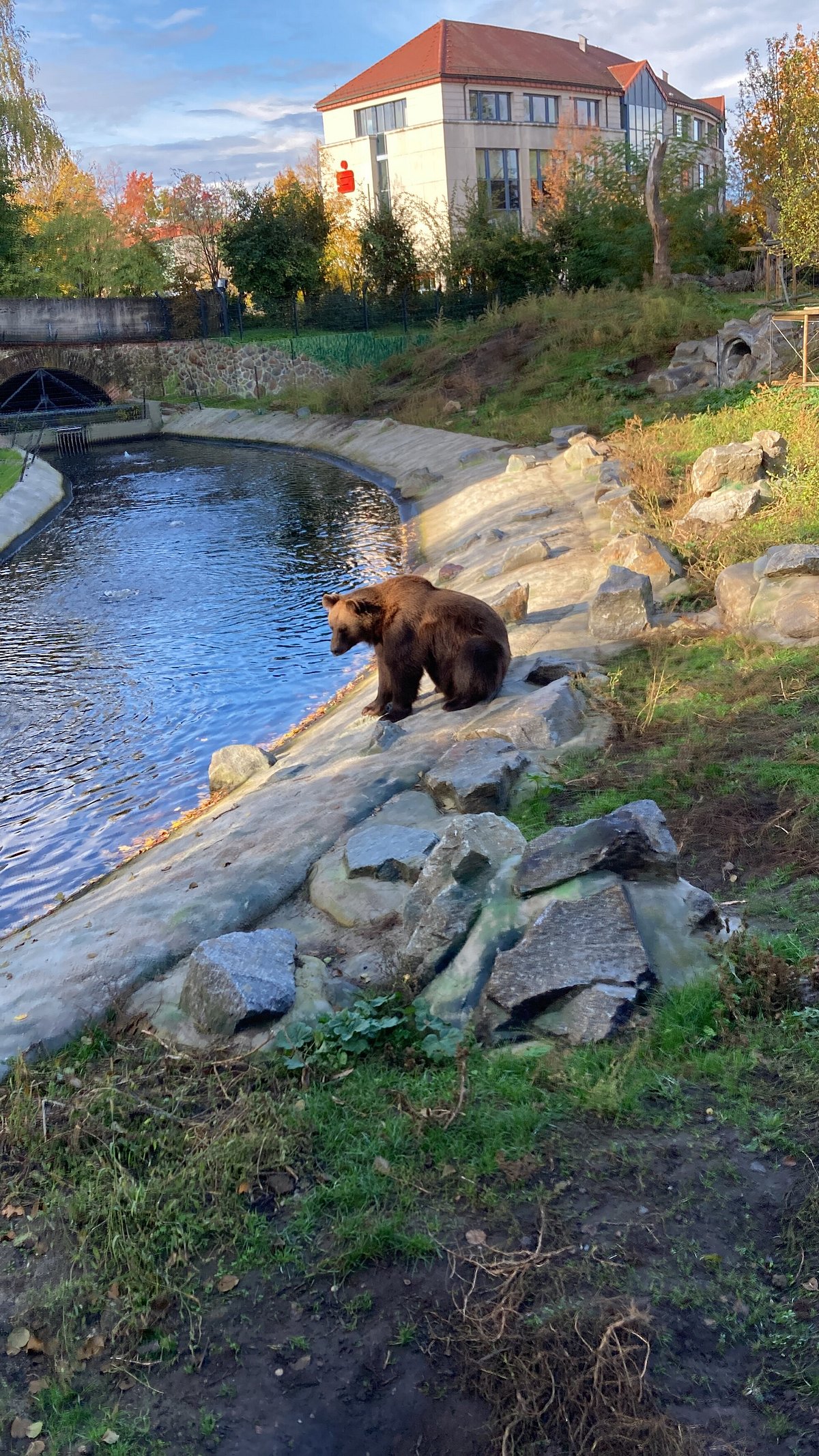 Zoo Hoyerswerda – Bild 1