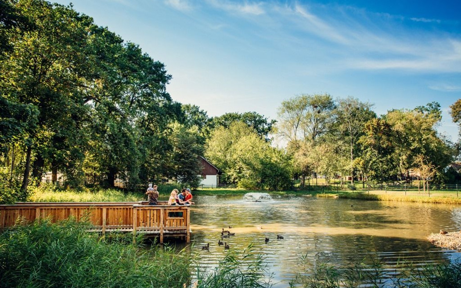 Zoo Hoyerswerda – Bild 3