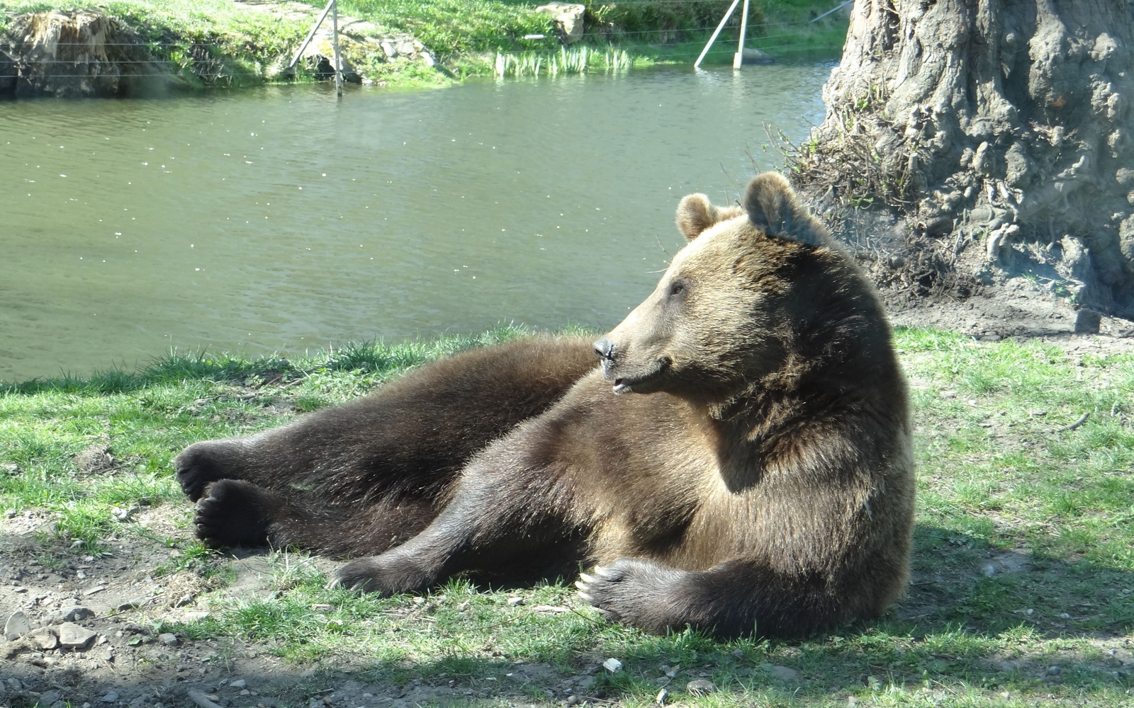 Zoo Hoyerswerda – Bild 4