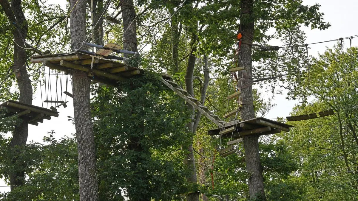 Kletterpark Hallgarter Zange Nordwand GmbH & Co. KG – Bild 3