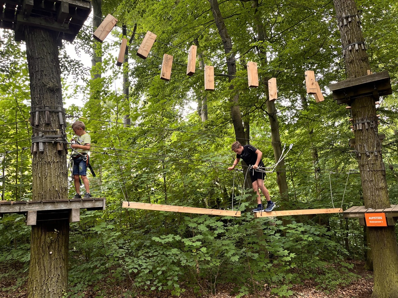 Kletterwald Gera – Bild 4