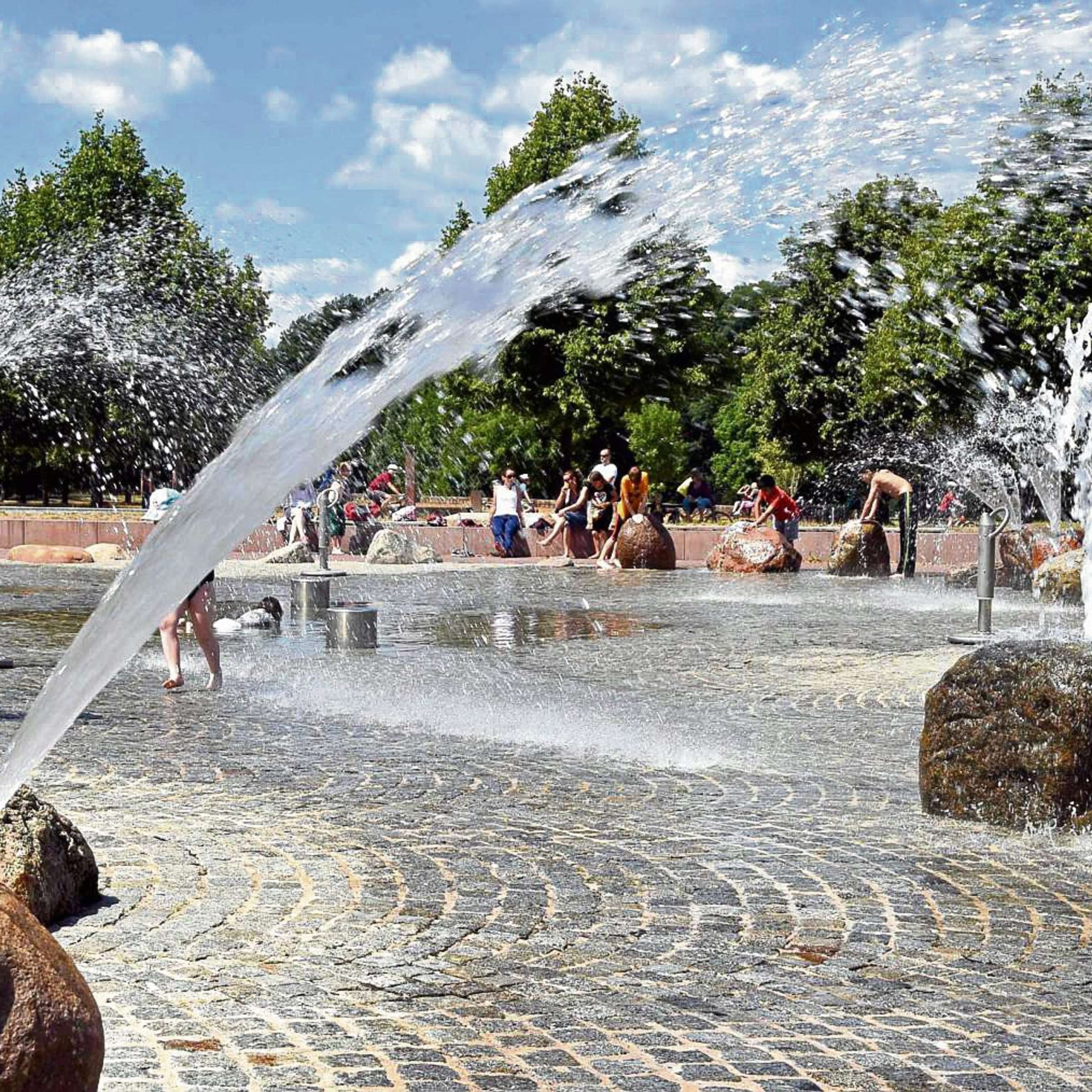 Waldspielpark – Bild 3