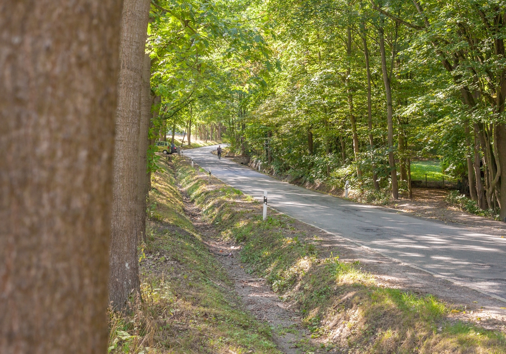 Waldspielpark – Bild 6