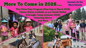 Smiling Faces Equestrian – Bild 4